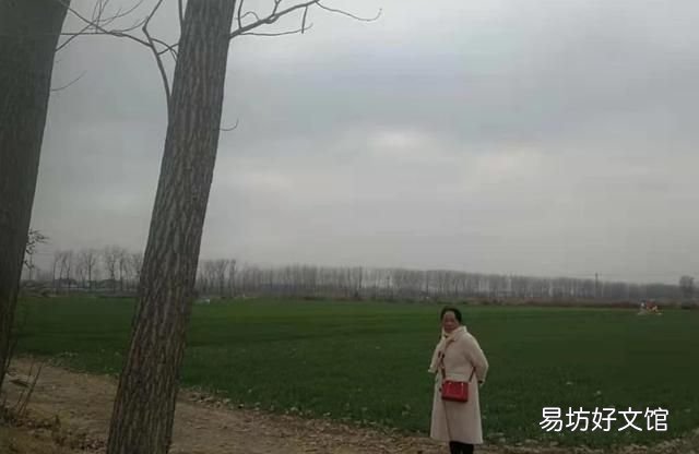 鸡犬相闻的什么,鸡犬相闻是什么意思