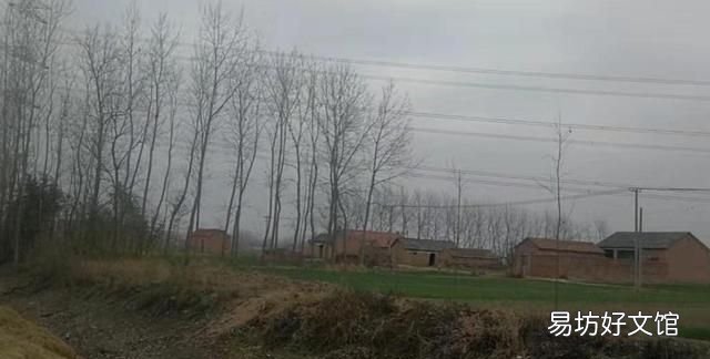 鸡犬相闻的什么,鸡犬相闻是什么意思