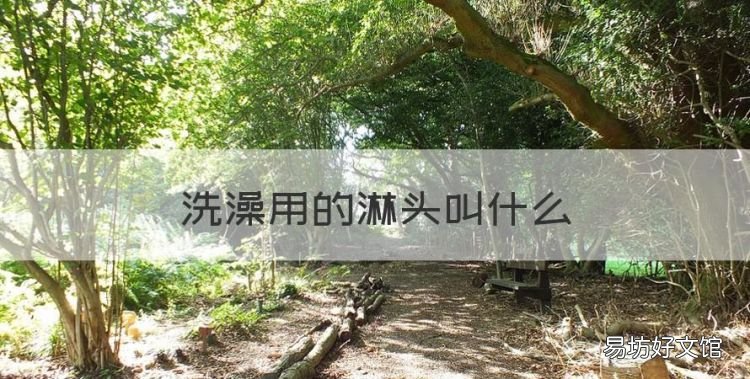 洗澡用的淋头叫什么,洗澡喷淋头可以怎么拆