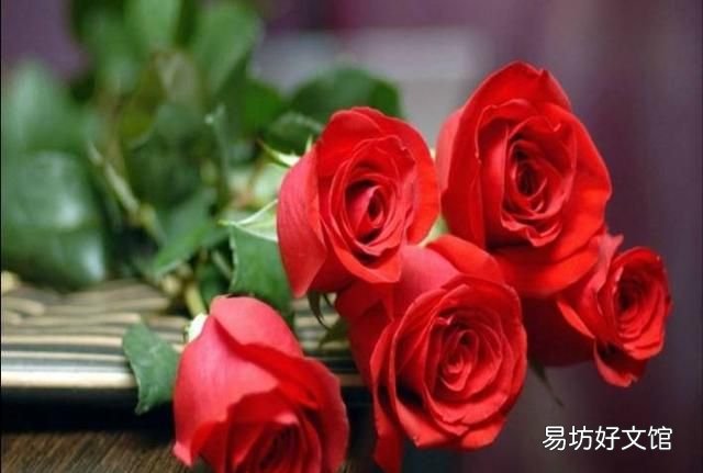 相思 王维 王维的《相思》到底是什么意思?