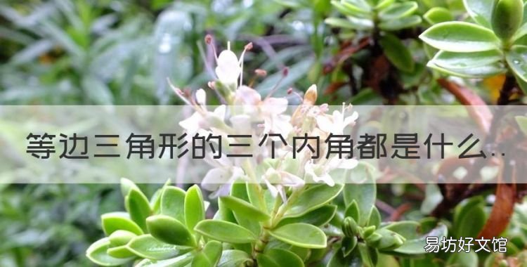 等边三角形的三个内角都是什么,等边三角形的三个内角都是多少度