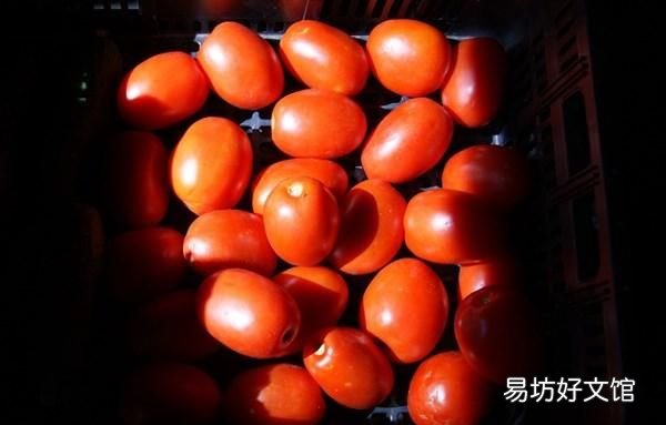 有什么营养价值和功效,一定不要错过营养品