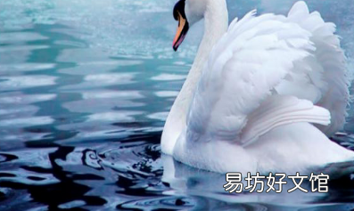 物体的浮沉条件,物体浮沉条件是什么