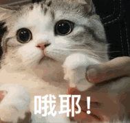 新手必看mc指令代码教学 我的世界创造模式指令怎么输