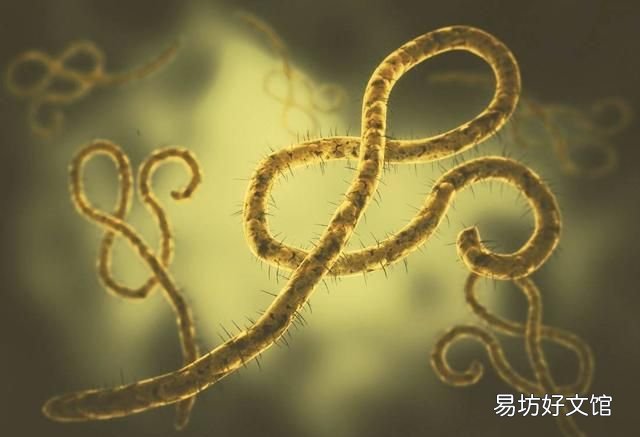 84消毒液可以消毒吗,84消毒液可以除霉菌吗