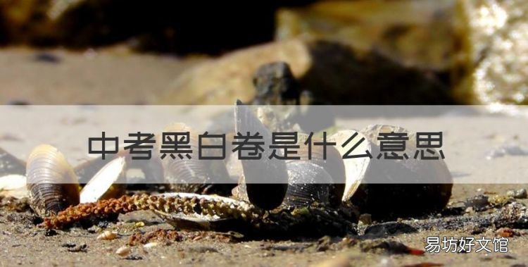 中考黑白卷是什么意思，天津中考黑白卷怎么样