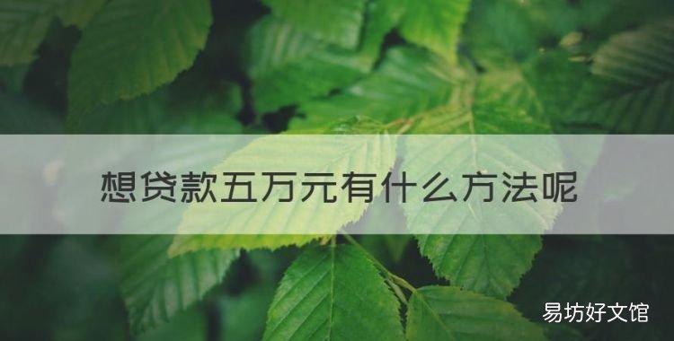 哪些银行可以贷款20万,想贷款五万元有什么方法