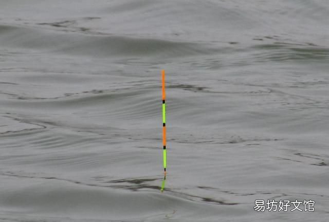 钓鱼中的行话都是什么意思啊