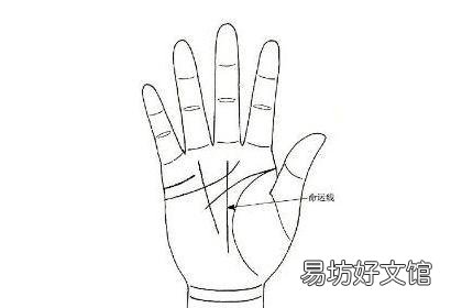 7种手相暗示大富大贵 马云手相三角纹放大照