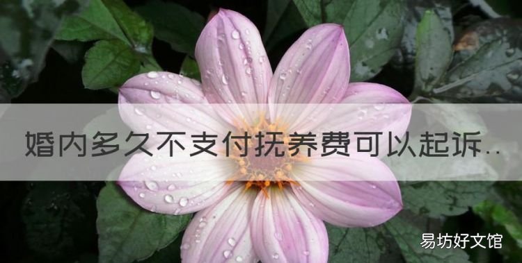 婚内多久不支付抚养费可以起诉