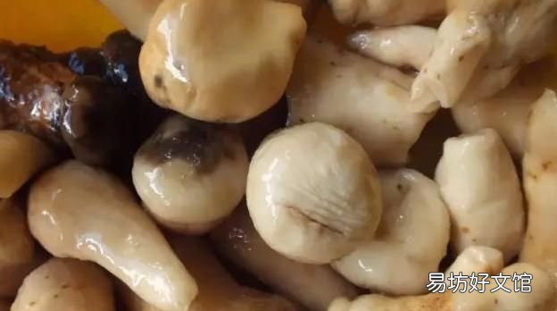 鲜松茸怎么保存? 松茸的保存方法有哪些