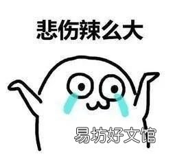 一万块的宠物鸭