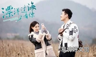 飘洋过海来看你电视剧大结局