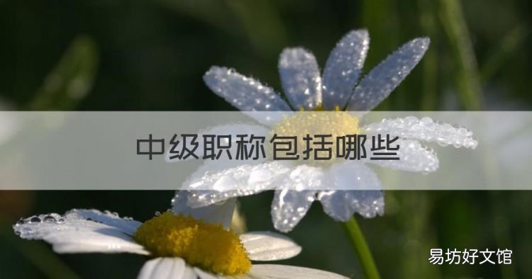 中级职称包括哪些,中级职称有哪些证书
