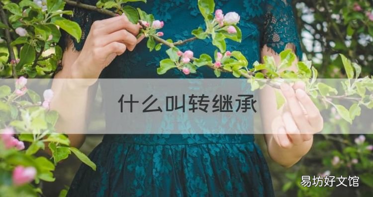 什么叫转继承，代位继承和转继承的区别举例