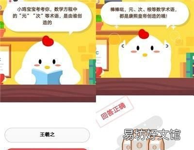 数学方程中的元次是谁创造的:数学方程中的元次等术语是由谁创造的?