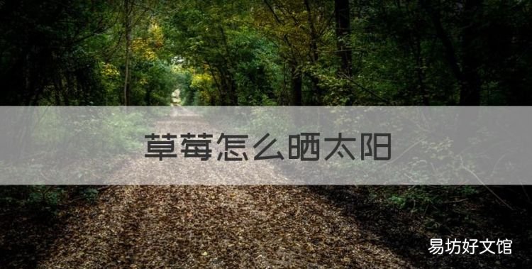 草莓怎么晒太阳,草莓需要晒太阳不