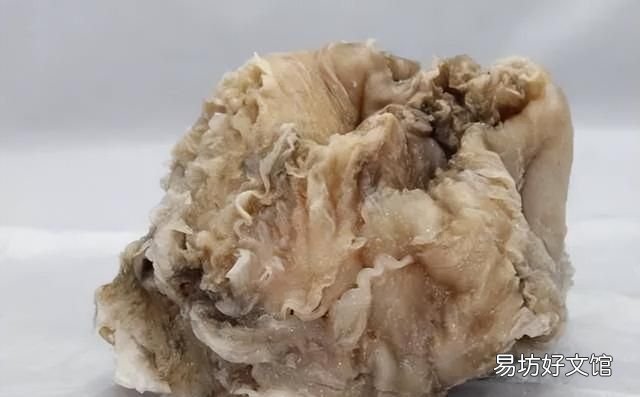 太岁到底是什么动物还是植物,为什么太岁不是植物也不是动物