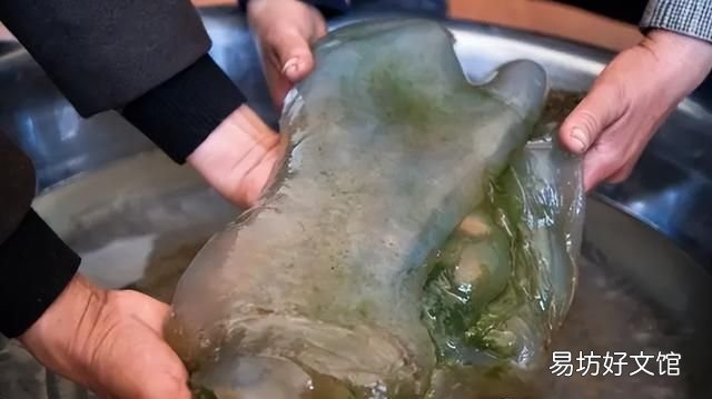 太岁到底是什么动物还是植物,为什么太岁不是植物也不是动物