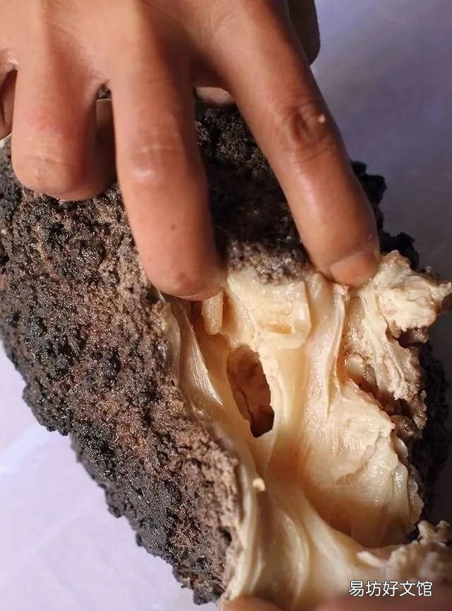 太岁到底是什么动物还是植物,为什么太岁不是植物也不是动物