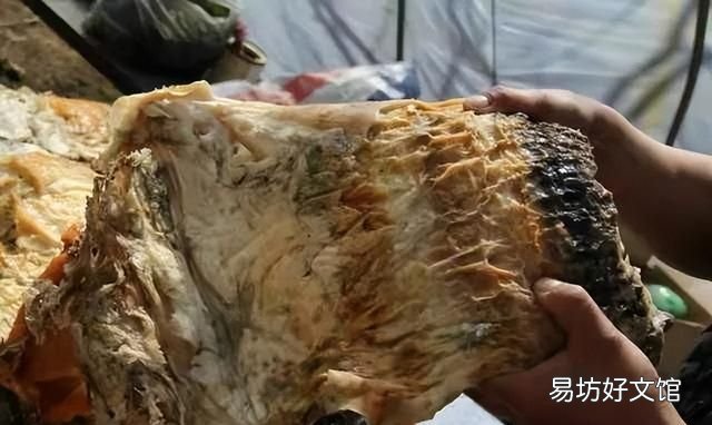 太岁到底是什么动物还是植物,为什么太岁不是植物也不是动物