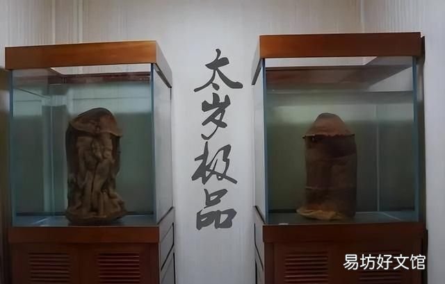 太岁到底是什么动物还是植物,为什么太岁不是植物也不是动物