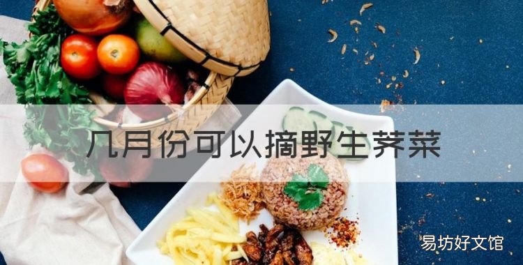 荠菜2月份可以挖吗，几月份可以摘野生荠菜