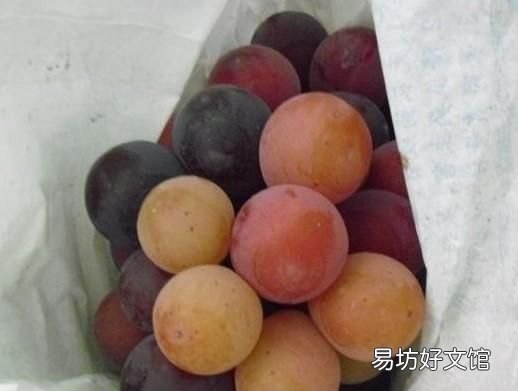 葡萄如何保鲜储存