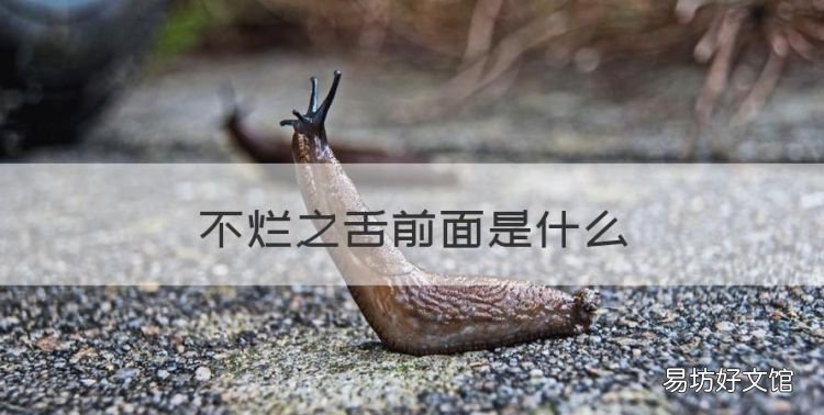 不烂之舌前面是什么，你以三寸不烂之舌,吞我精兵两亿之多意思