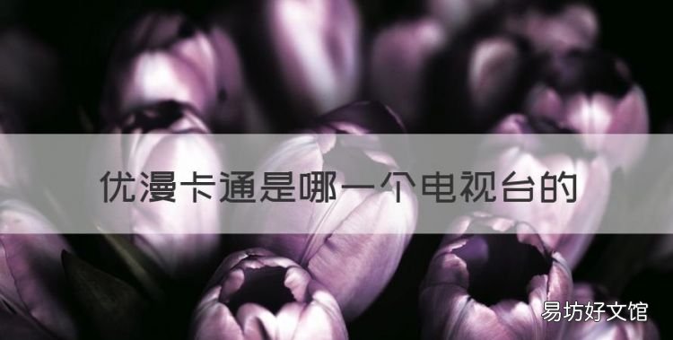 优漫卡通是电视第几频道,优漫卡通是哪一个电视台的