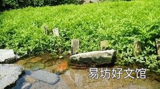 河里的水芹菜能吃吗