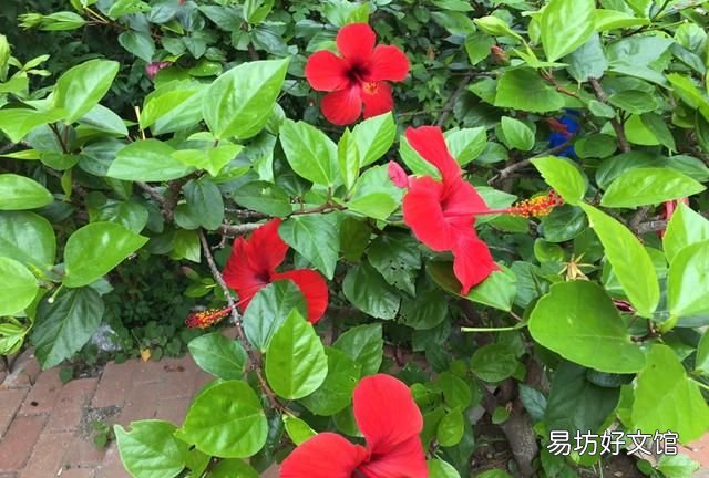 “山重水复疑无路，柳暗花明又一村”，这一句诗包含着怎样的人生哲理