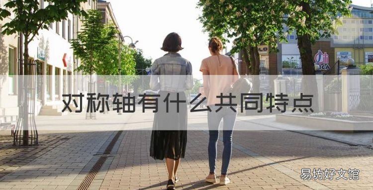 对称轴有什么共同特点,轴对称与轴对称图形的共同特征是什么