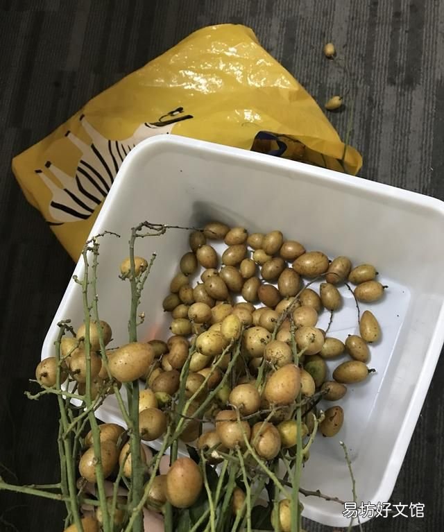 黄皮怎么保鲜:冰糖黄皮怎么做?