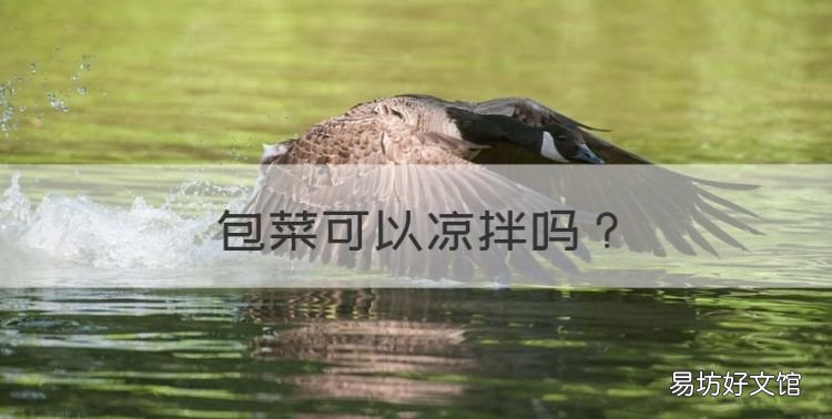 包菜可以凉拌,凉拌卷心菜的家常做法大全