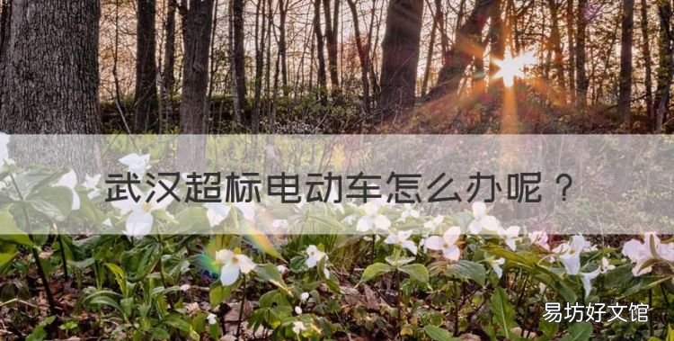 武汉超标电动车怎么办,武汉市电动车管理新规2022