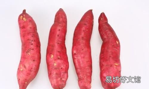 吃了红薯能不能吃梨
