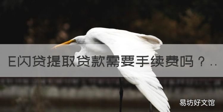 E闪贷提取贷款需要手续费,闪电贷提前还款利息怎么算