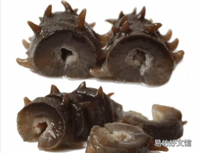 海参怎么泡发海参正确方法