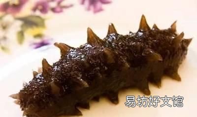 海参怎么泡发海参正确方法