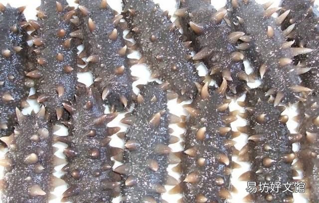 海参怎么泡发海参正确方法