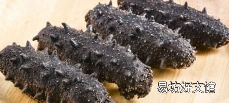 海参怎么泡发海参正确方法