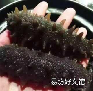 海参怎么泡发海参正确方法
