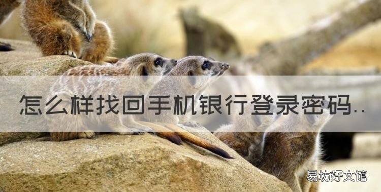怎么样找回手机银行登录密码,修改手机银行登录密码怎样操作