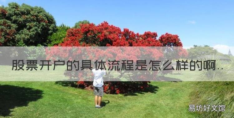 新手炒股开户流程及注意事项,股票开户的具体流程是怎么样的