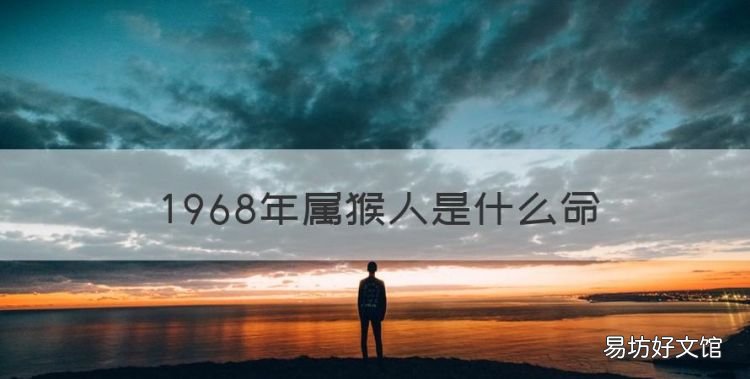 属猴人是什么命,2004生肖猴是什么命