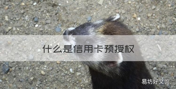 什么是信用卡预授权,信用卡发生境外预授权是什么意思