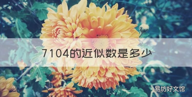 704的近似数是多少,7084的近似数应该是多少呢