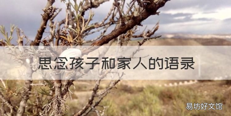思念孩子和家人的语录,适合出差在外想念儿子发朋友圈的句子图片