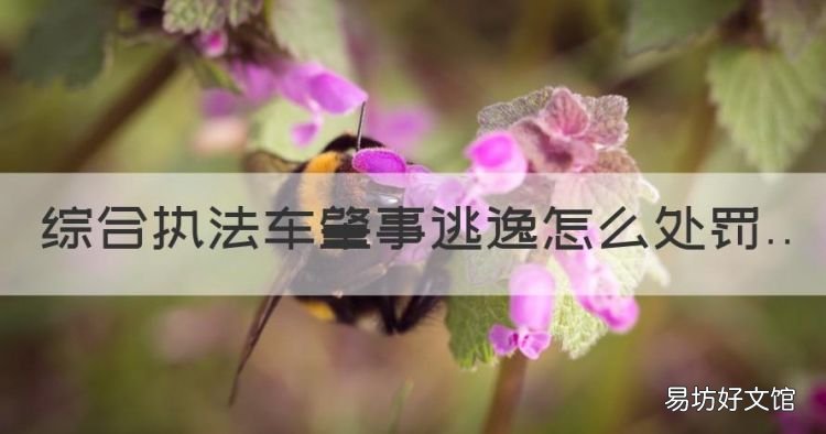 综合执法车肇事逃逸怎么处罚,交通肇事后弃车逃逸的怎么处罚